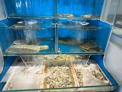 -潮庭·大连海鲜·炭火烧烤·扇贝王(大连店)
