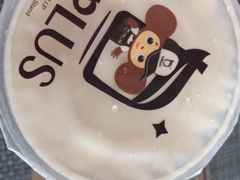 四季春鲜奶茶-TPLUS茶家(浦电路店)