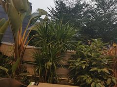 -马家斑.鲜鱼火锅(松湖万科店)