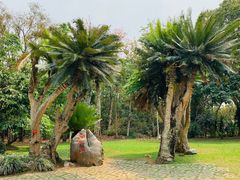 -中国科学院西双版纳热带植物园