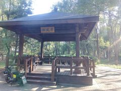 -大兴滨河森林公园