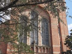 -上海佘山国家森林公园西佘山园