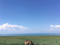 -青海湖国家重点风景名胜区