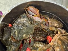 -仙螺岛海鲜自助餐厅(总店)