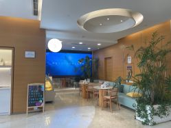 -杭州贝瑞斯美华妇儿医院·早孕·产检·儿科