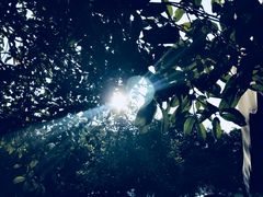 -杭州海华满陇度假酒店