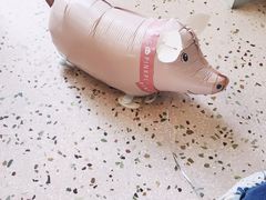 -WHEN PIGS FLY当猪飞