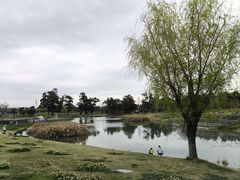 -两河城市森林公园