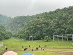 -大水川景区