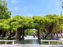 -济南大明湖景区