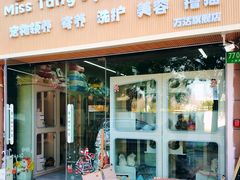 -唐小姐の私宠·宠物洗护美容·撸猫馆·购宠(周浦万达旗舰店)