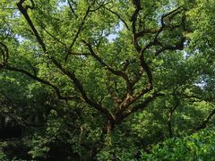 -宁波市保国寺古建筑博物馆