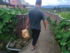 -广东大峡谷