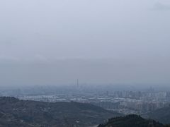 -桃源山庄·水蜜桃采摘·柴火鸡·烧烤团建(龙泉山店)