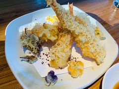 -Hatsune隐泉日式料理(三里屯太古里店)