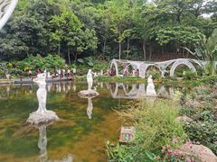 -深圳仙湖植物园
