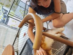 -平行世界·猫咖(首经贸店)