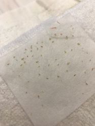 点击看大图 -佳慕皮肤管理连锁