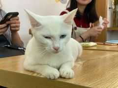 -正南齐北·老街糯米团(洪崖洞店)