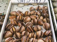 -南沙十九涌渔人码头-南门