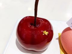 -LE SAPHIR 莎菲尔菓子(和兴店)