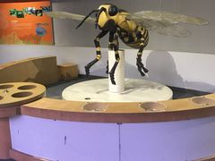 -陕西自然博物馆