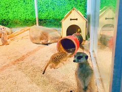 -常州海昌海洋探索馆