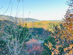 -北京西山国家森林公园