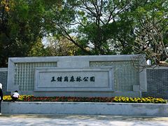 -王借岗森林公园