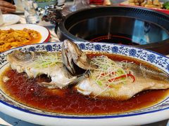 清蒸鲈鱼-红辣椒·川菜·火锅(科华路店)