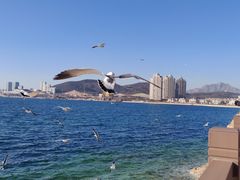 -泊石湾海滨浴场