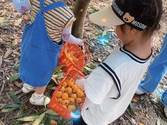 -塘栖枇杷特色园区