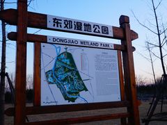 -东郊湿地公园