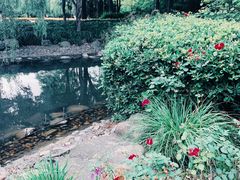 -苏州河梦清园环保主题公园