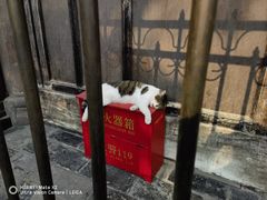 -成都市文殊院