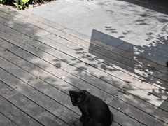 -九鼎轩脆毛肚火锅(商业街店)