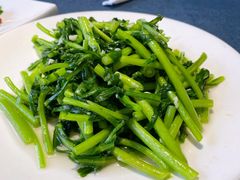 茼蒿-野蔓果·山野菜(西湖景区·龙井茶田店)