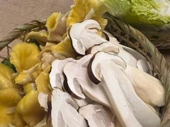 -大理老字号·舟渔的鱼野生菌海景餐厅(双廊店)