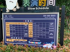 -海合安武汉极地海洋公园