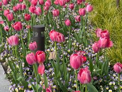 -豫园志愿服务青年中心