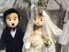 -济州岛泰迪熊博物馆