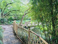 -上海醉白池公园