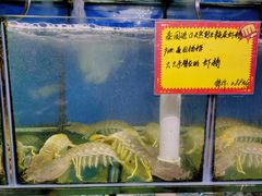 -蚝专家(北滘店)