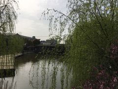 -南汇水蜜桃采摘(大团店)