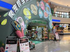 -上海大自然野生昆虫馆(东方明珠·爬宠昆虫探索中心)