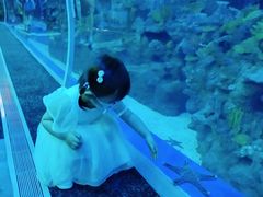 -成都浩海立方海洋公园