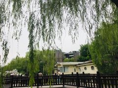 -西安市长乐公园