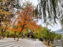 -元大都城垣遗址公园