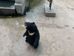 -保定市动物园