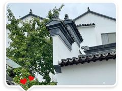 -东山风景区(洞庭东山)